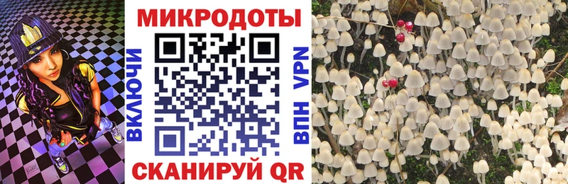 Галлюциногенные грибы мухоморы  Сочи 